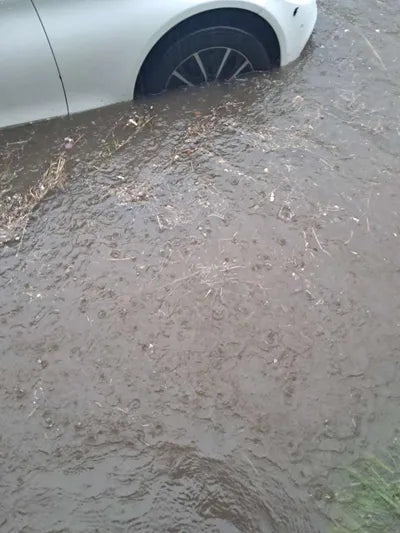 2020 Mercedes-Benz C 200 W1KWF8AB5LR571223 VIN:W1KWF8AB5LR571223