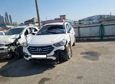 2018 Hyundai Santa FE KMHSW81UBJU791337 VIN:KMHSW81UBJU791337