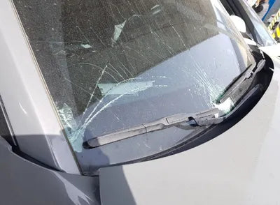 2019 Hyundai Kona KMHK381GFKU042121 VIN:KMHK381GFKU042121