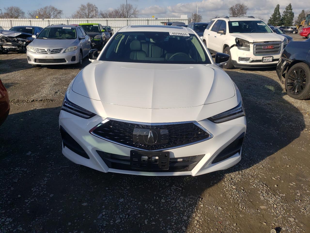 2023 ACURA TLX  VIN:19UUB5F31PA007362