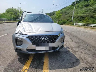 2019 Hyundai Santa FE VIN: