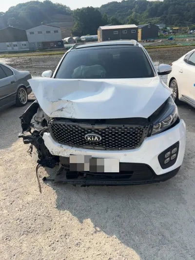 2016 Kia Sorento KNAPK81BDGA132387 VIN:KNAPK81BDGA132387
