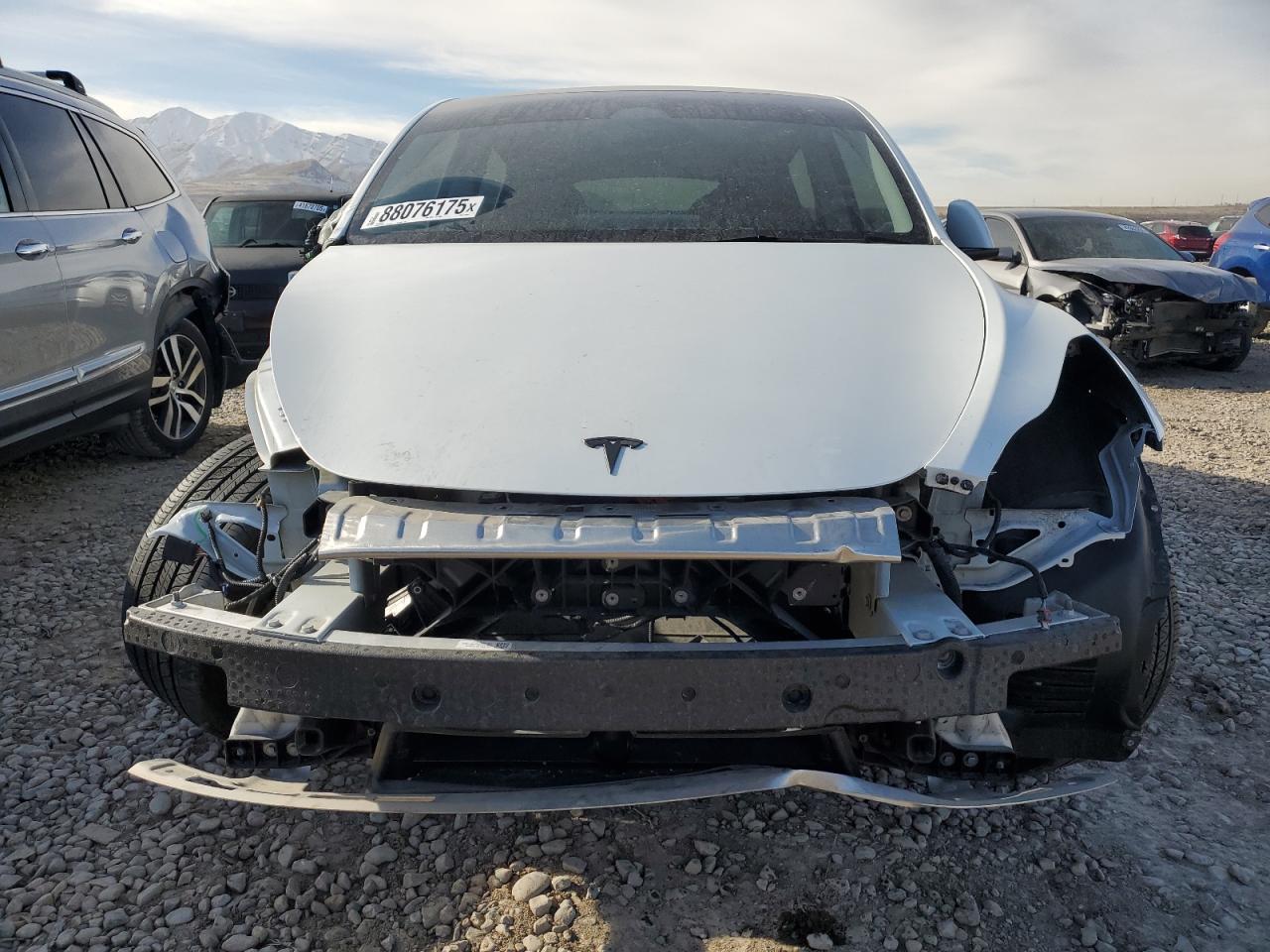 2023 TESLA MODEL Y  VIN:7SAYGDEE2PA115401
