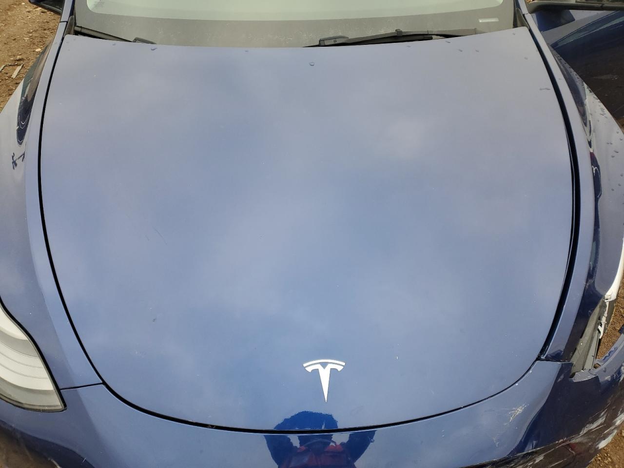2023 TESLA MODEL Y  VIN:7SAYGDEE7PF703927
