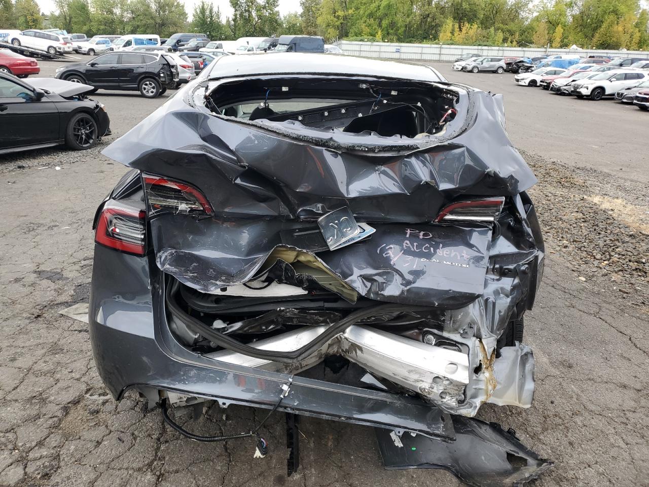 2023 TESLA MODEL Y  VIN:7SAYGDEE6PF904993