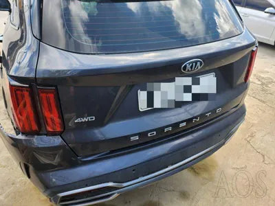 2021 Kia Sorento KNARL81BHMA089925 VIN:KNARL81BHMA089925