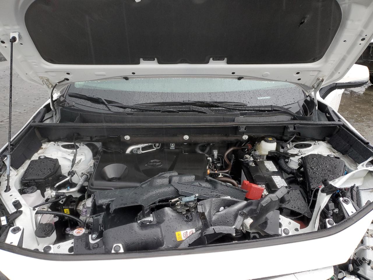 2023 TOYOTA RAV4 XLE VIN:2T3P1RFV6PC376535