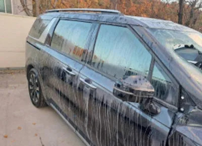 2021 Kia Carnival KNANC81BBMS018195 VIN:KNANC81BBMS018195