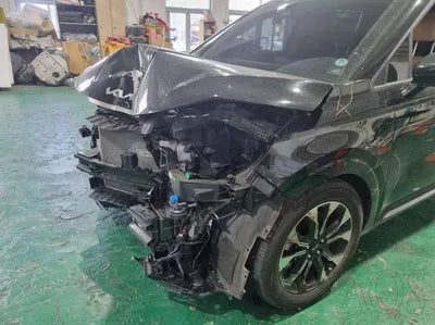 2021 Kia Carnival KNANC81BBMS063366 VIN:KNANC81BBMS063366