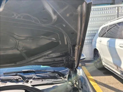 2017 BMW M2 WBS1H9100HV917169 VIN:WBS1H9100HV917169