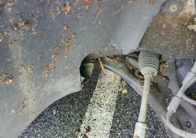 2015 Volkswagen Golf WVWZZZAUZFW190384 VIN:WVWZZZAUZFW190384