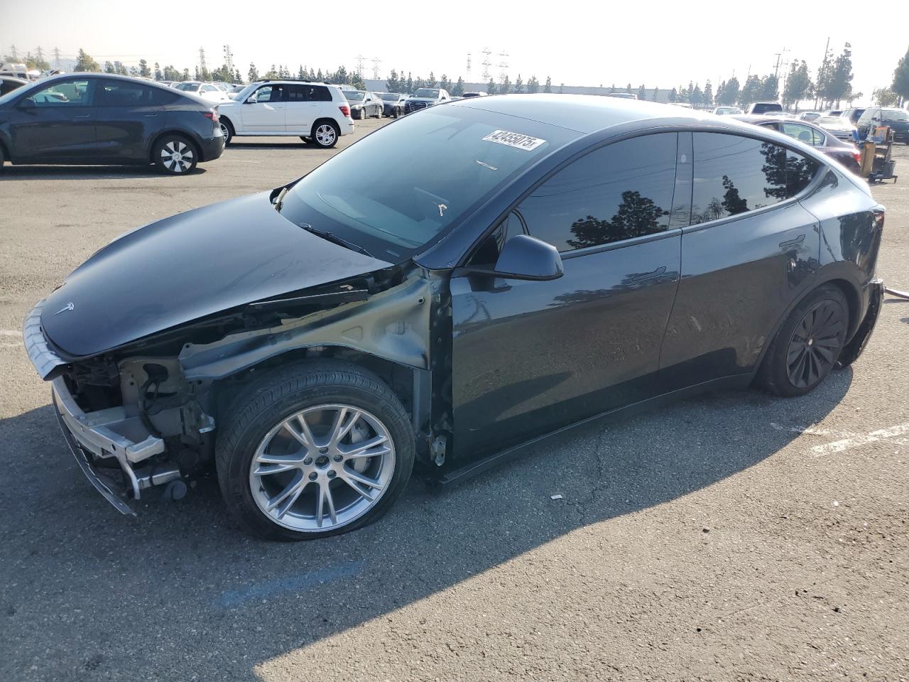 2024 TESLA MODEL Y  VIN:7SAYGAEE0RF018427