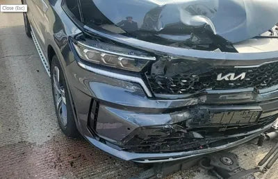 2022 Kia Sorento KNARG81GDNA105395 VIN:KNARG81GDNA105395
