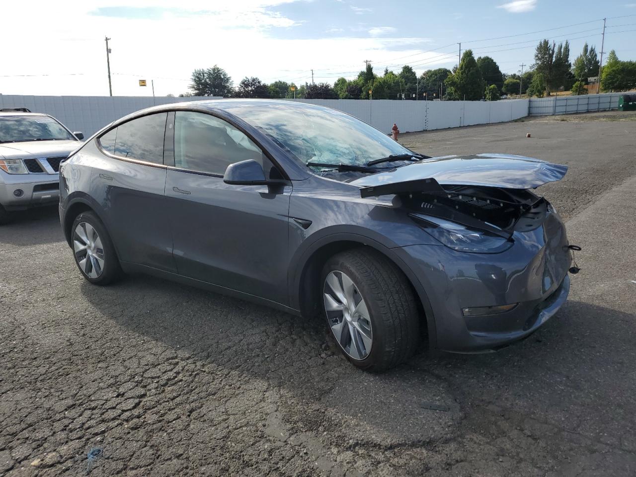2023 TESLA MODEL Y  VIN:7SAYGDEE0PF921935