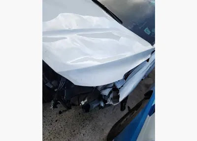 2019 Hyundai Santa FE KMHS381ADKU169994 VIN:KMHS381ADKU169994
