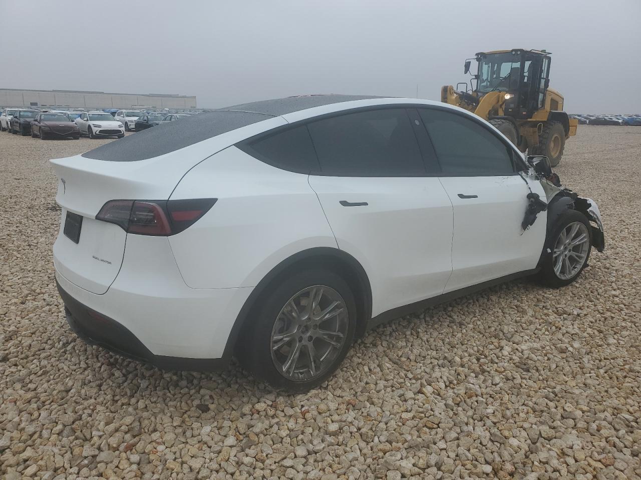 2023 TESLA MODEL Y  VIN:7SAYGDEE4PA041852