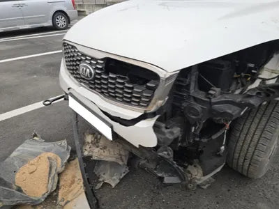 2019 Kia Sorento KNAPG81BDKA540068 VIN:KNAPG81BDKA540068