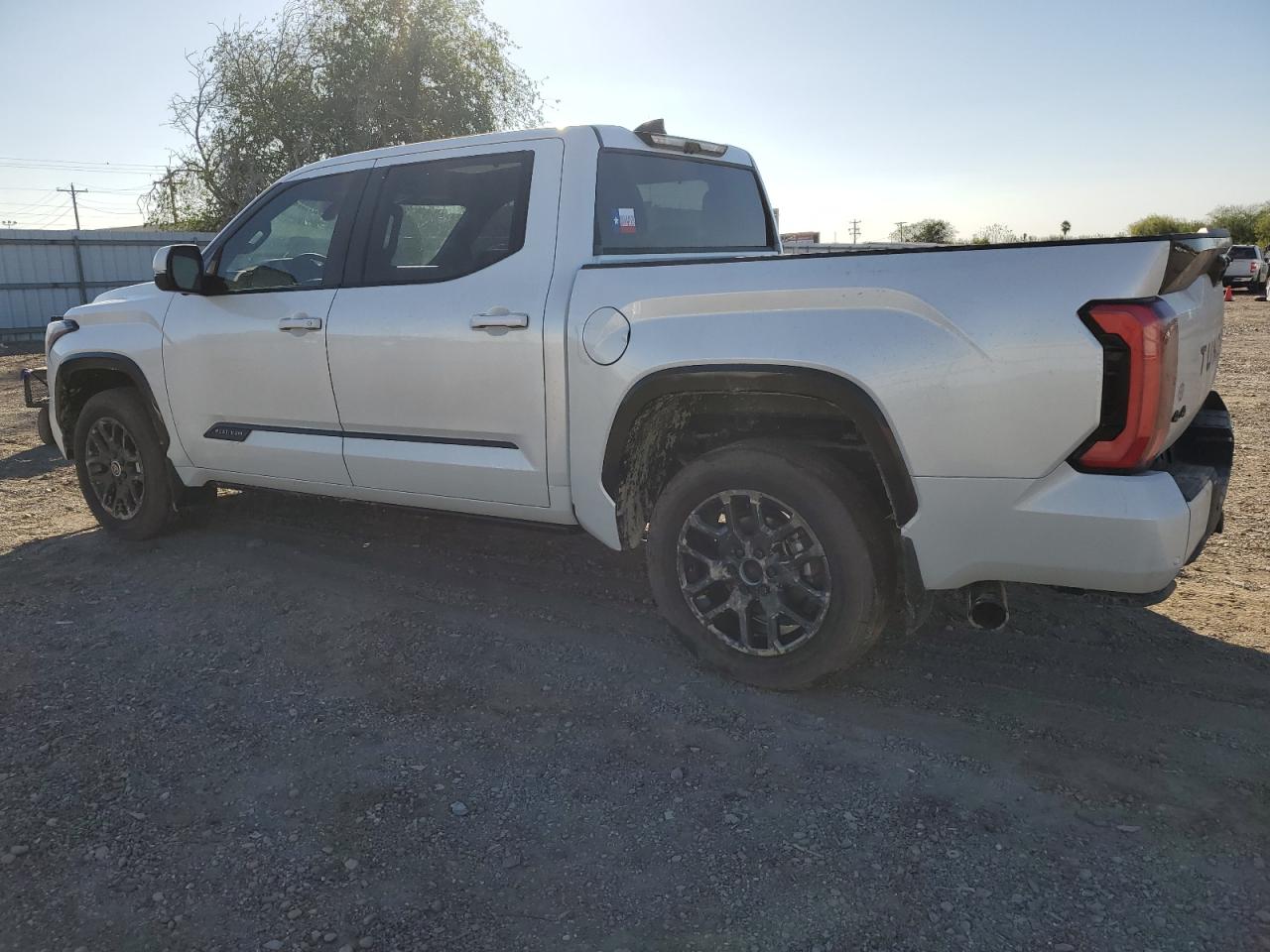 2024 TOYOTA TUNDRA CREWMAX PLATINUM VIN:5TFNA5DB6RX223210