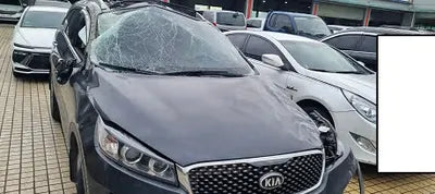 2017 Kia Sorento KNAPS81ABHA341237 VIN:KNAPS81ABHA341237