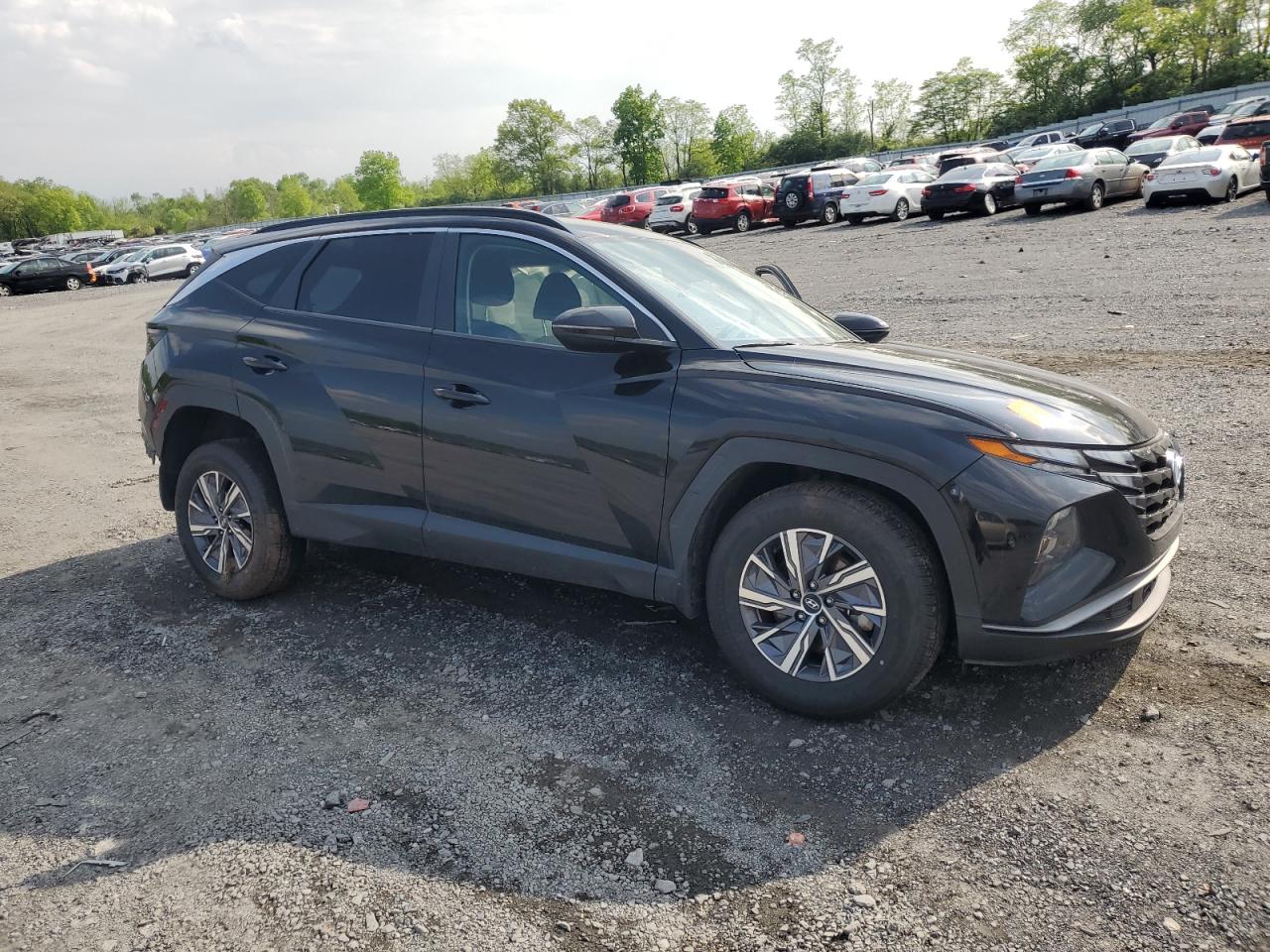 2022 HYUNDAI TUCSON BLUE VIN:KM8JBCA13NU031035