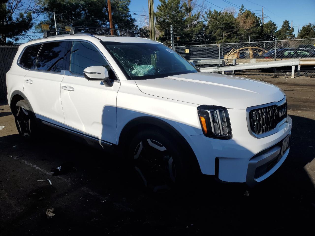 2024 KIA TELLURIDE EX VIN:5XYP3DGC8RG477389
