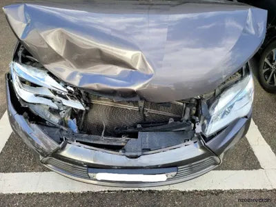 2016 Toyota Camry 4T1BD1FK2GU198509 VIN:4T1BD1FK2GU198509
