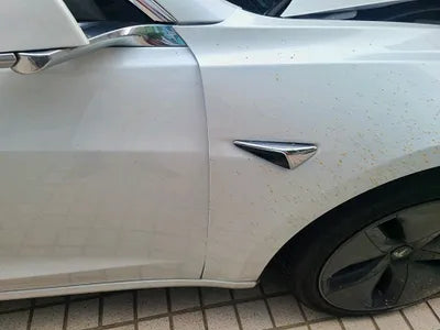 2020 Tesla Model 3 5YJ3E1EB0LF733542 VIN:5YJ3E1EB0LF733542