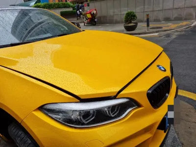 2018 BMW M2 WBS1J5100JVE54391 VIN:WBS1J5100JVE54391