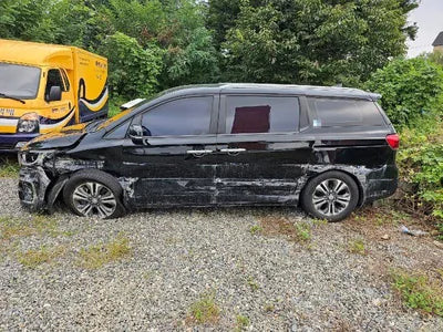 2019 Kia Carnival KNAMB81ABKS591217 VIN:KNAMB81ABKS591217