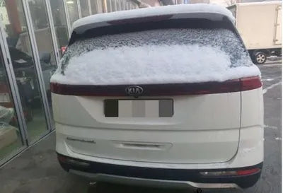 2020 Kia Carnival VIN:
