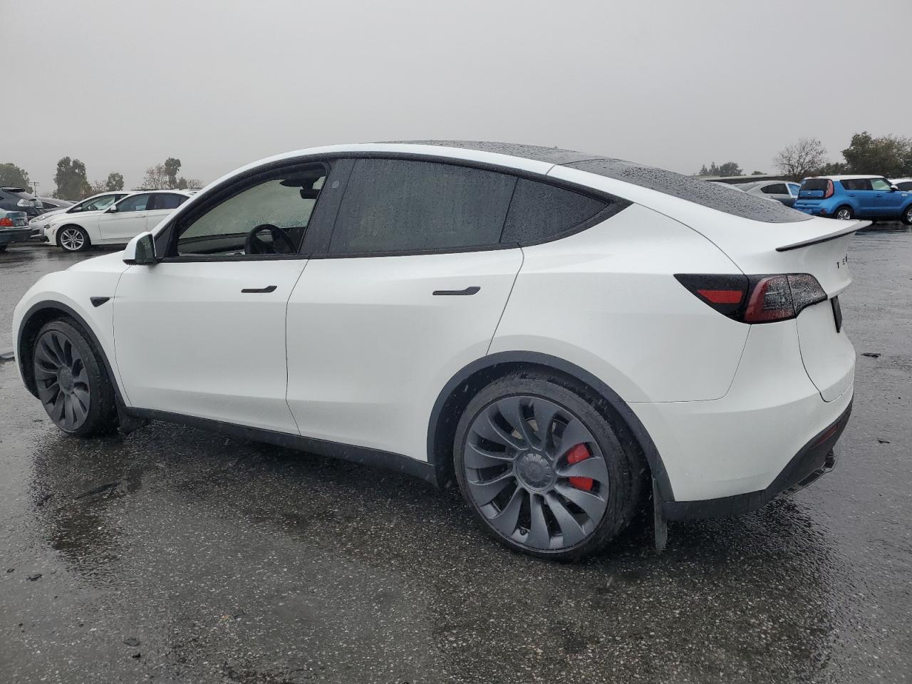 2024 TESLA MODEL Y  VIN:7SAYGDEF9RF094562