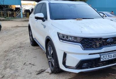 2021 Kia Sorento KNARH81GBMA005423 VIN:KNARH81GBMA005423