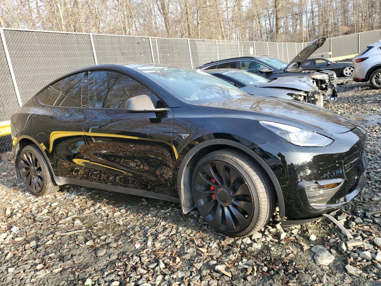 2023 TESLA MODEL Y  VIN:7SAYGDEF6PF943267