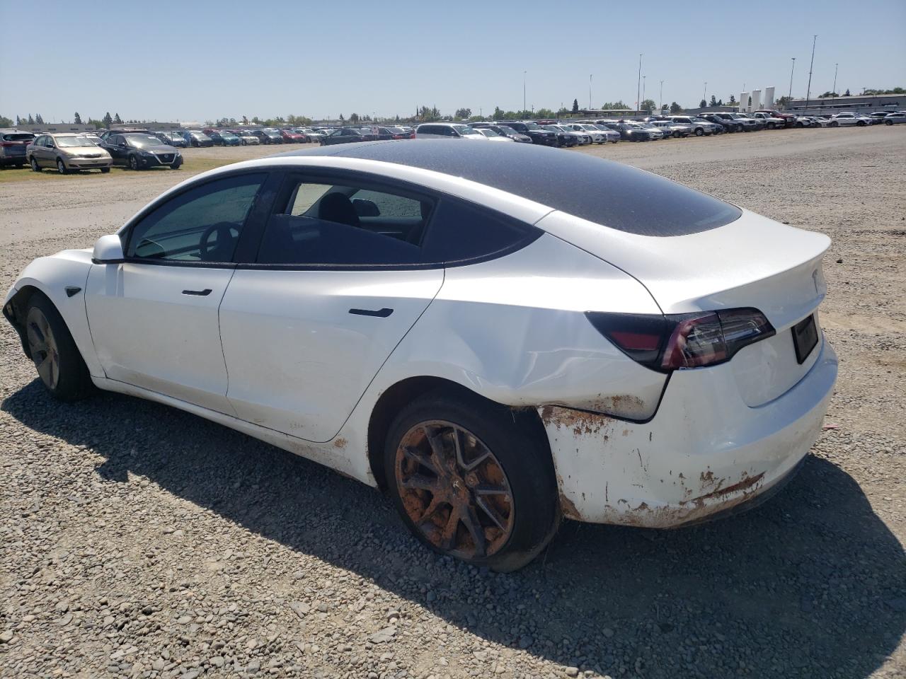 2023 TESLA MODEL 3  VIN:5YJ3E1EA4PF540713