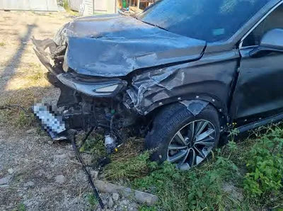 2019 Hyundai Santa FE KMHS281CBKU142045 VIN:KMHS281CBKU142045
