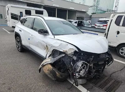 2021 Hyundai Tucson KMHJE81BGMU006030 VIN:KMHJE81BGMU006030