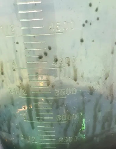 2021 BMW 530 WBAJU8101M9E86180 VIN:WBAJU8101M9E86180