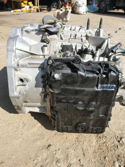 2021 Kia Carnival KNANE81BBNS144166 VIN:KNANE81BBNS144166