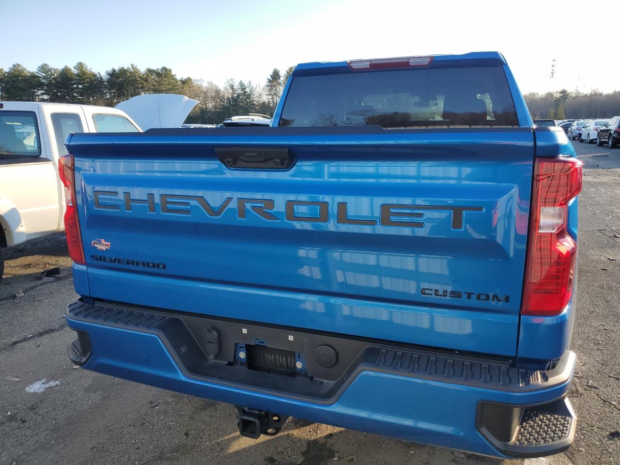 2024 CHEVROLET SILVERADO K1500 CUSTOM VIN:1GCPDBEK8RZ137964