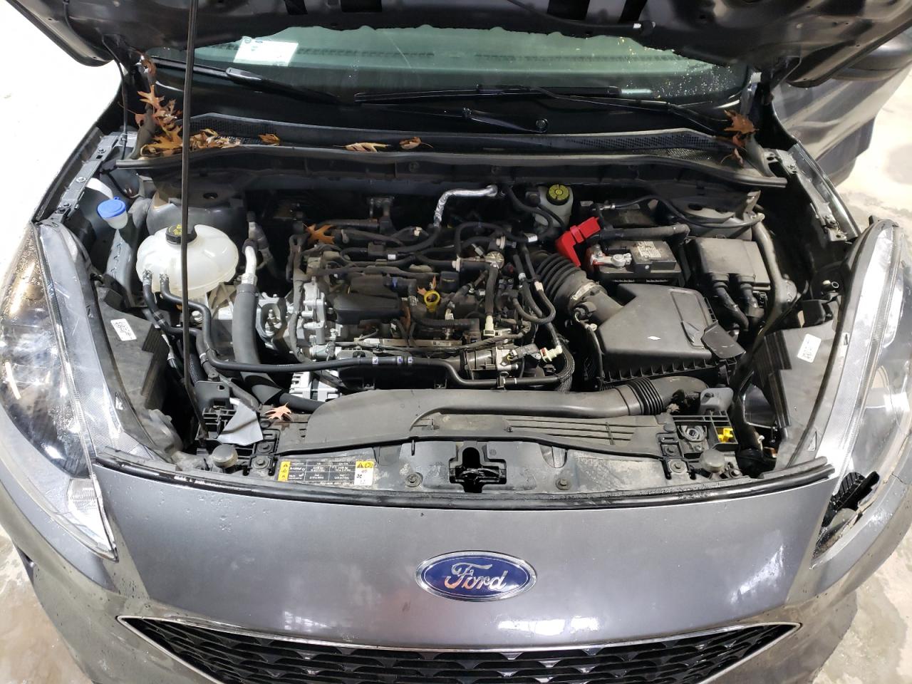 2022 FORD ESCAPE SE VIN:1FMCU0G64NUB09973