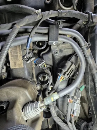 2019 Genesis G70 VIN: