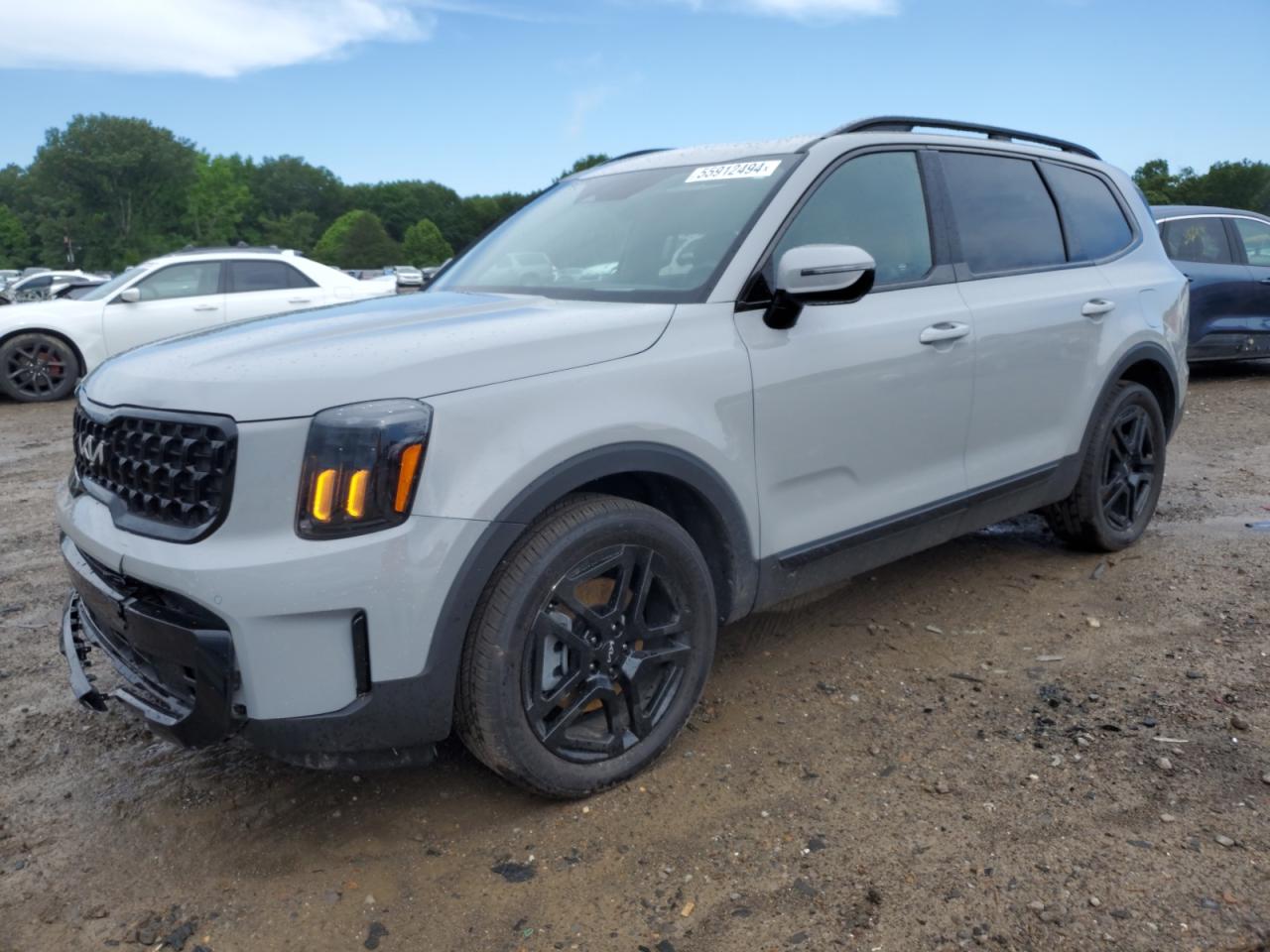 2024 KIA TELLURIDE SX VIN:5XYP5DGC4RG467307