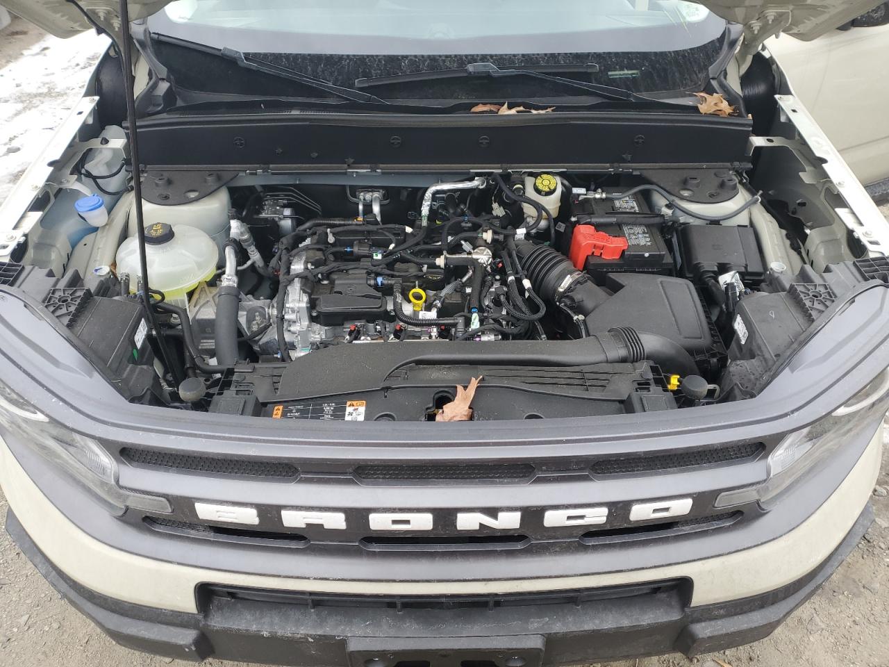 2024 FORD BRONCO SPORT BIG BEND VIN:3FMCR9B63RRE34589