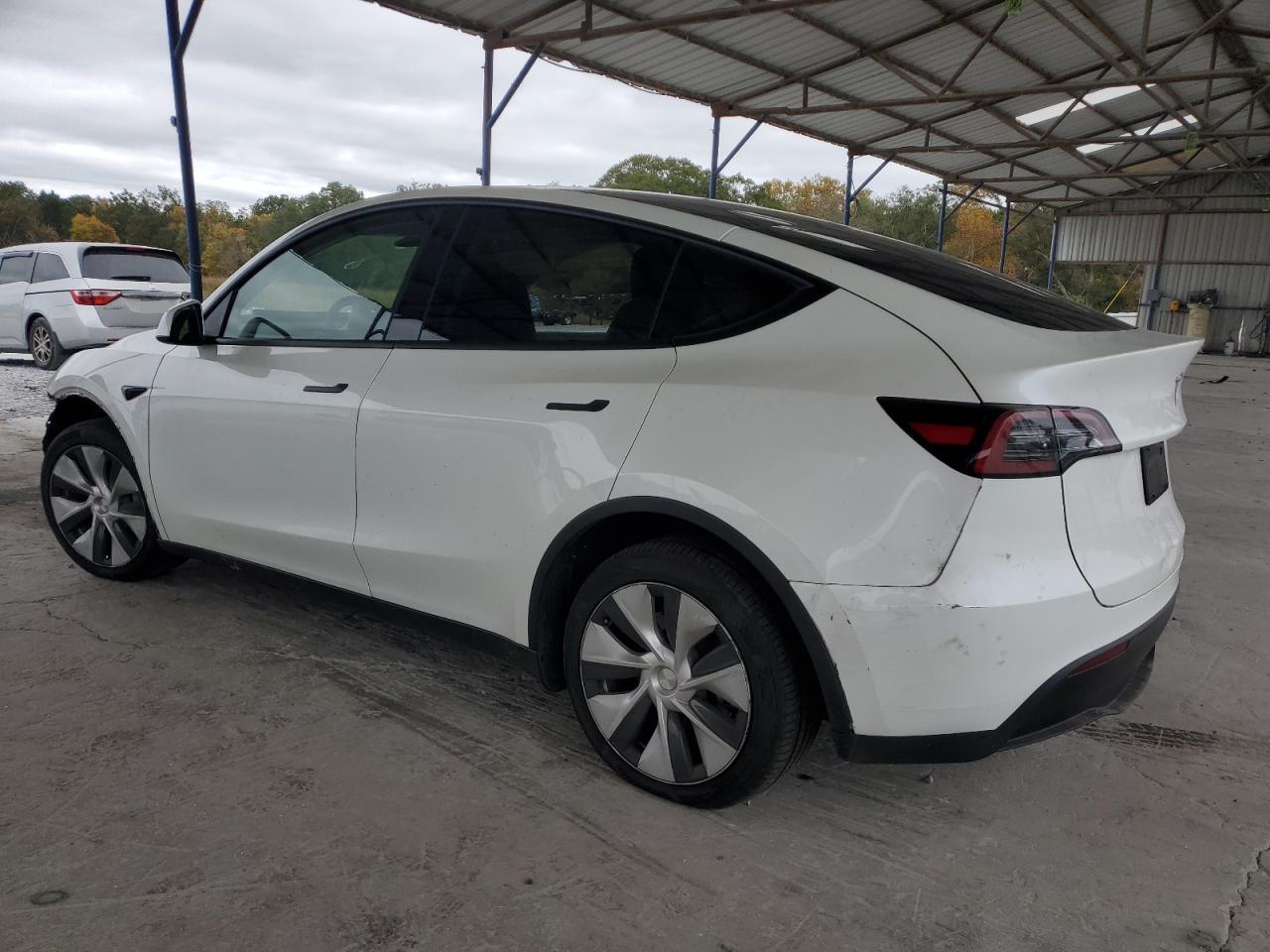 2023 TESLA MODEL Y  VIN:7SAYGDEE8PF771184
