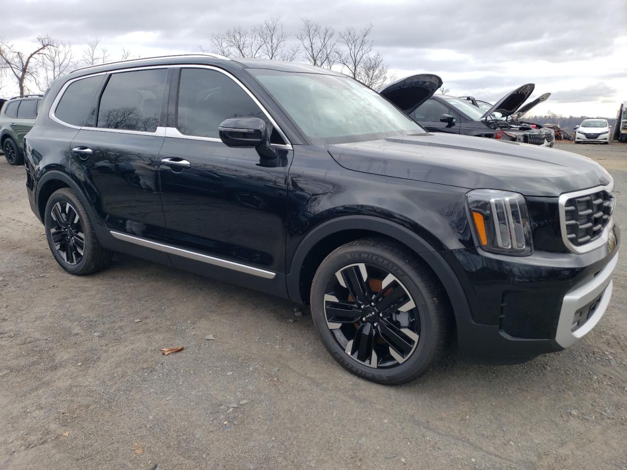 2024 KIA TELLURIDE SX VIN:5XYP5DGC3RG540392