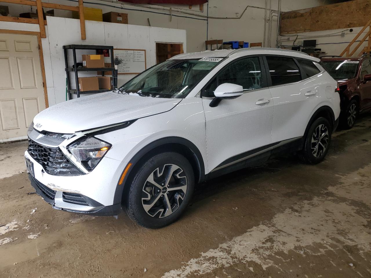 2023 KIA SPORTAGE EX VIN:5XYK3CAF9PG113602