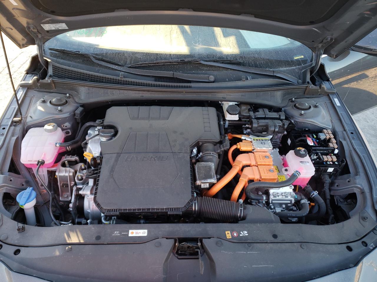 2024 HYUNDAI ELANTRA LIMITED VIN:KMHLN4DJ3RU094739