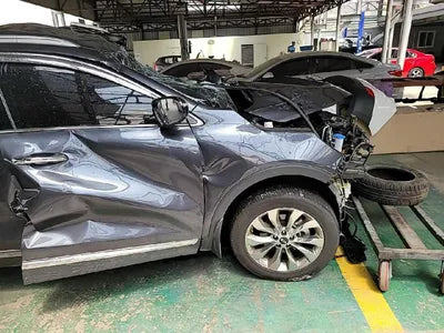 2019 Kia Sorento KNAPS81BBLA557183 VIN:KNAPS81BBLA557183