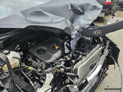 2019 Kia Sportage KNAPP81ABKK643821 VIN:KNAPP81ABKK643821
