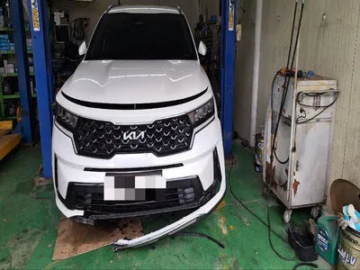 2022 Kia Sorento KNARL81BGNA165588 VIN:KNARL81BGNA165588